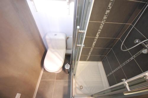 a small bathroom with a toilet and a shower at Appartement La Pinède in Gruissan