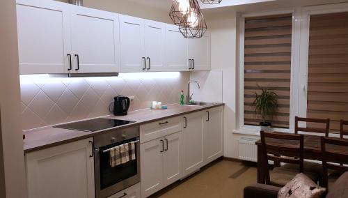 Cuina o zona de cuina de Barbora apartament