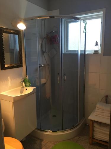 a shower with a glass door in a bathroom at Kolstigenhus in Fågelfors