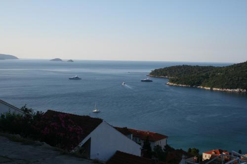 ein Blick auf ein großes Gewässer mit Booten darauf in der Unterkunft Studio Ogresta in Dubrovnik