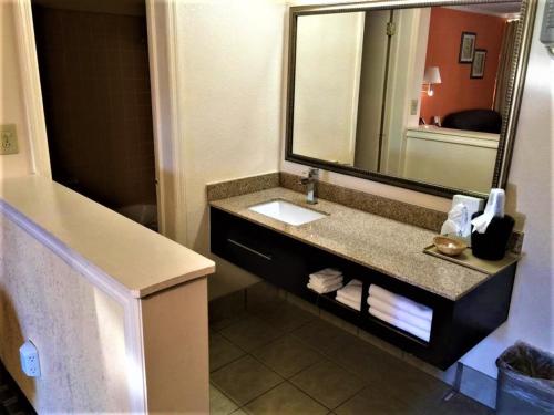 a bathroom with a sink and a large mirror at Budget Inn Conway in Conway