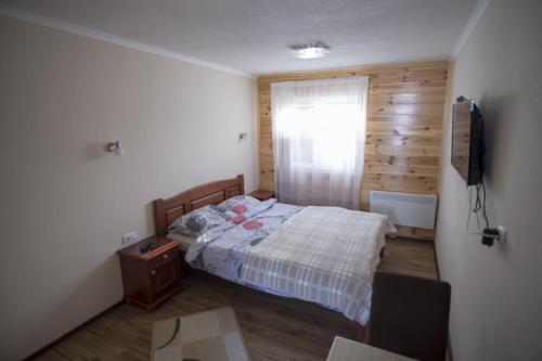 a bedroom with a bed and a television in it at Durmitorske zore in Žabljak