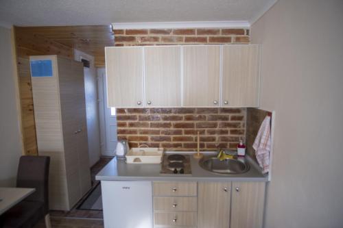 a kitchen with a sink and a brick wall at Durmitorske zore in Žabljak