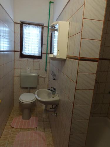 a bathroom with a toilet and a sink at Apartments Palma in Vir