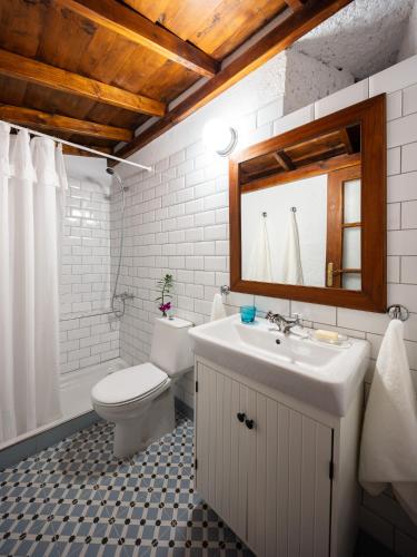 a bathroom with a sink and a toilet and a mirror at El Sitio de la Casa in Arico el Nuevo