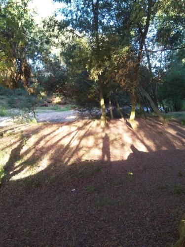 Κήπος έξω από το Camping las islas