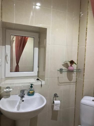 a bathroom with a sink and a mirror and a toilet at Oasis in Aspindza