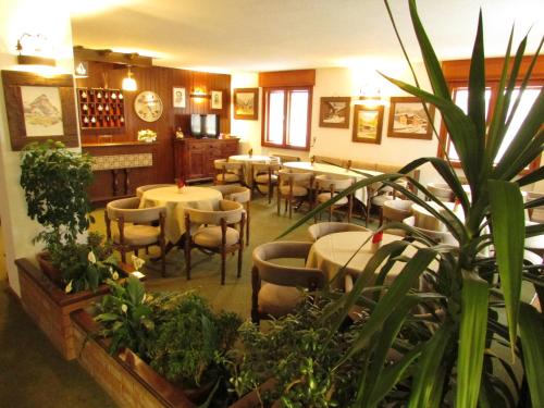 un restaurante con mesas, sillas y plantas en Hotel Meublè Meridiana, en Valtournenche