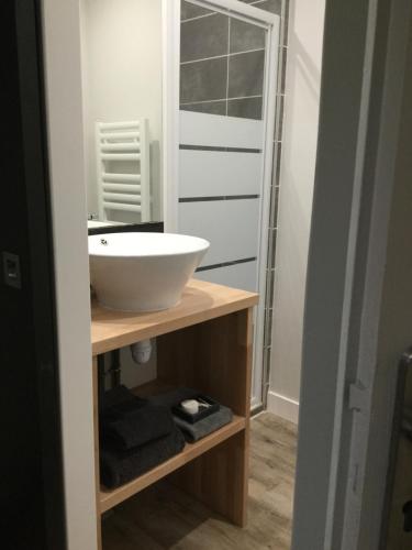 a bathroom with a sink and a mirror on a shelf at La Maison des Eaux Claires in Puymoyen