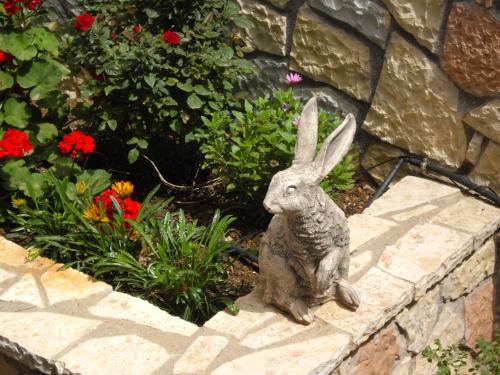 a statue of a rabbit sitting on a stone wall at Pitho in Delfoi