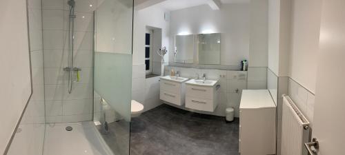 een witte badkamer met een douche en een wastafel bij Zentrum Appartment Neuburg in Neuburg an der Donau