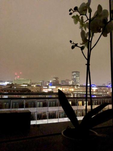 a plant sitting on top of a building at night at Penthouse Birmingham City View in Birmingham