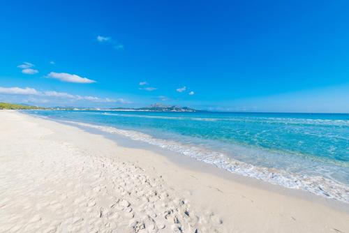 New! APARTMENT SUN OF THE BAY 3B