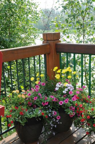 a bunch of flowers in large pots on a fence at Pike's Waterfront Lodge in Fairbanks