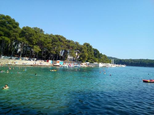 Gallery image of City Castle Lussin in Mali Lošinj