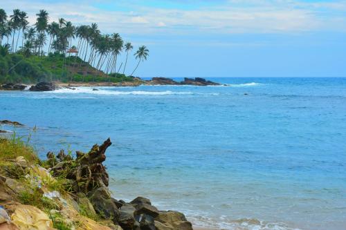 a beach with palm trees and the ocean at ANB Surf View in Tangalle