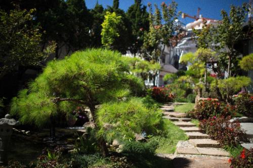a garden with bushes and trees and a pathway at ROY VILLA COFFEE in Da Lat