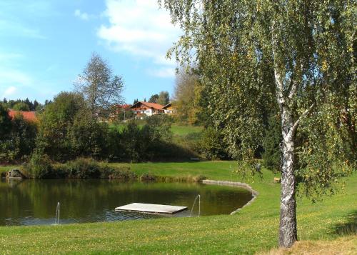 a boat in the water next to a lake at Ferienwohnungen Winter in Lohberg