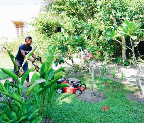 a man standing in a yard with a toy tractor at Ibludan Hotel in Senggigi 