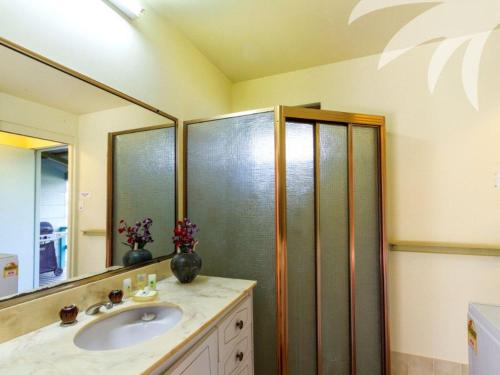 une salle de bain avec un lavabo et une douche avec un miroir dans l'établissement Fyshwicks Cottage, à Smiths Lake