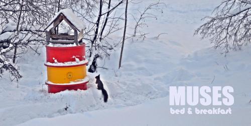 Fotografie z fotogalerie ubytování MUSES BNB Bed & Breakfast v destinaci Bergvik