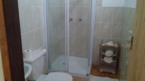 a bathroom with a shower and a toilet and a sink at A Swallows Rest in Kareedouw
