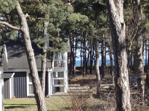 a house with a white ladder in the woods at Ostsee Strandhaus Seerobbe in Baabe