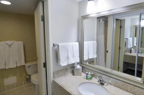 uma casa de banho com um lavatório, um espelho e um WC. em Radisson Akron-Fairlawn Copley em Fairlawn