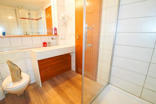 a bathroom with a toilet and a glass shower at Residence Jungfrau in Interlaken