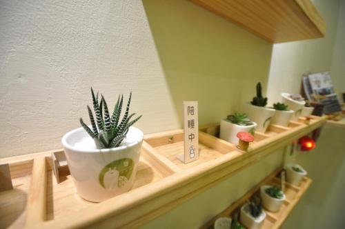 a row of potted plants sitting on a shelf at Green Hotel - Fengjia in Taichung