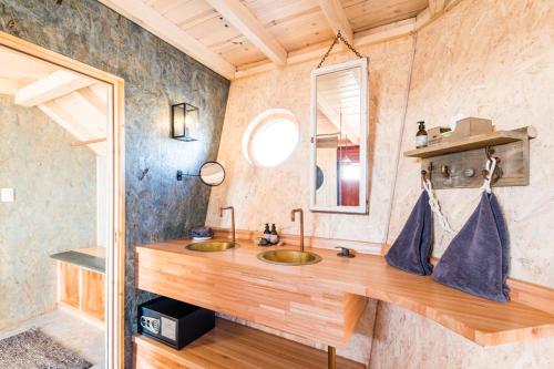 a bathroom with a sink and a mirror at Shipwreck Lodge in Möwebaai