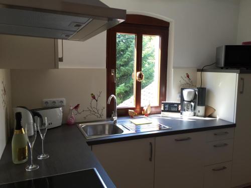 eine kleine Küche mit einem Waschbecken und einem Fenster in der Unterkunft Jägerschlösschen- Fräulein Jäger in Heilbronn