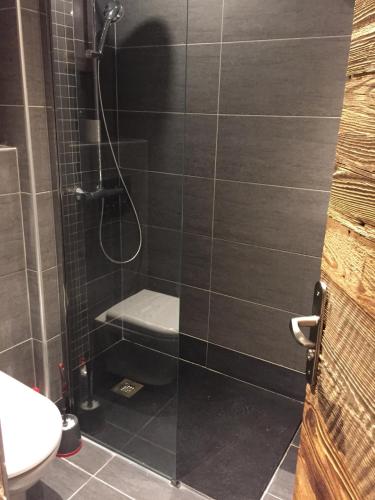 une salle de bain avec une douche avec des toilettes et un lavabo dans l'établissement L'Appart de l'Arche, à Peisey-Nancroix
