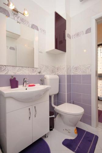 a white bathroom with a toilet and a sink at Apartment Ravni 1337 in Ravni