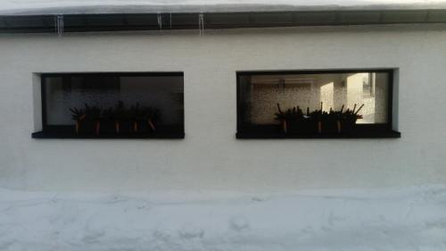two windows with plants in them on a wall at Reiterhof & Pension Lienemann in Grünbach