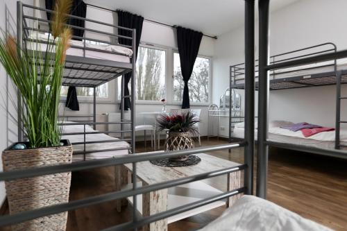 Voodi või voodid majutusasutuse K&M Hostel toas