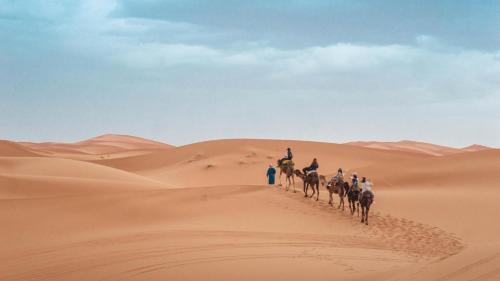 a group of people riding camels in the desert at Camp Sahara Holidays in Mhamid