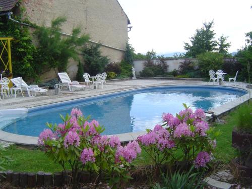 a pool with chairs and pink flowers in a yard at Penzion u lípy in Jestřebí