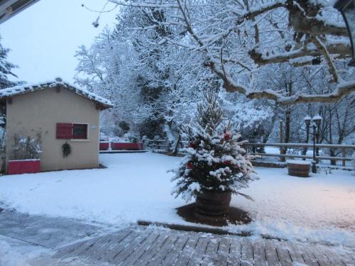 a house with a christmas tree in the snow at Hôtel Restaurant Le Moulin de Saint Verand in Saint-Vérand
