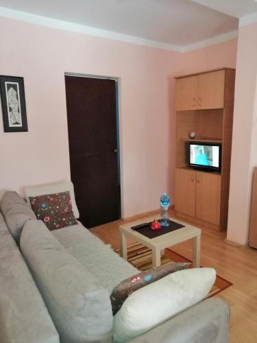 Gallery image of Apartment Matovic in Kragujevac
