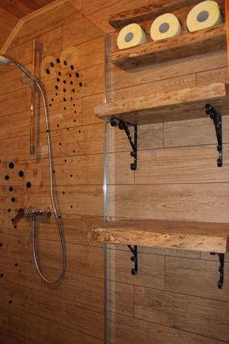 a bathroom with a shower and two rolls of toilet paper at Holiday Home Winzerhaus Eva in Špičnik