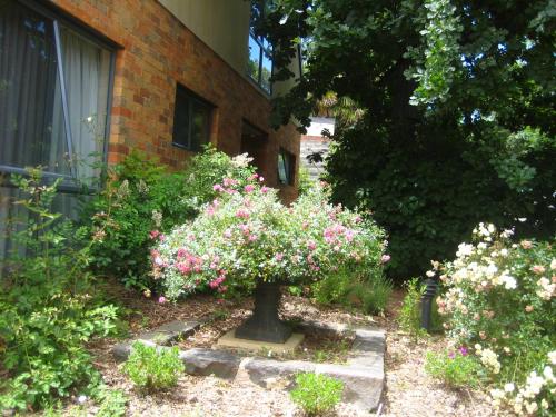 a garden with pink flowers in front of a building at Bungunyah Apartments in Croydon