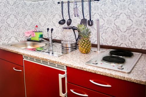 a kitchen counter with a sink and a stove at Hotel Polonia - Frankfurt/Oder in Frankfurt/Oder