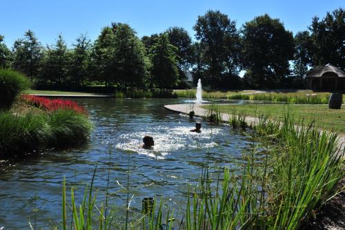 two people swimming in a pond with a fountain at Het Hilkensberg Park in Broekhuizen