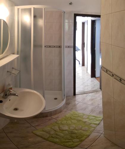 a bathroom with a sink and a shower at Apartmani Sandro in Ivan Dolac