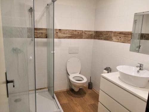 a bathroom with a toilet and a glass shower at Penzion u lípy in Jestřebí