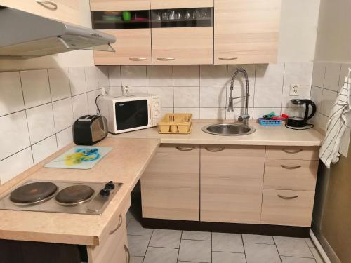 a small kitchen with a sink and a microwave at Penzion u lípy in Jestřebí