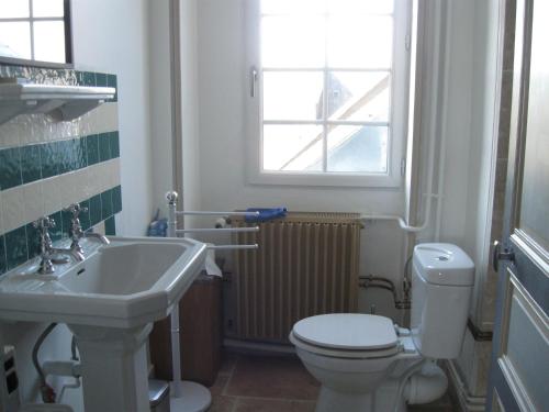 a bathroom with a sink and a toilet and a window at Le Petit Bois in Château-la-Vallière