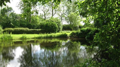 a view of a pond in a park with trees at Le Petit Bois in Château-la-Vallière