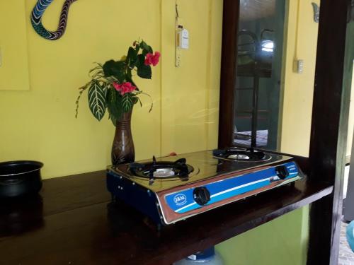 a stove sitting on a counter with a vase of flowers at Casita Rio Indio in Nombre de Dios